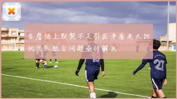 东詹场上默契不足引发矛盾老大担忧团队配合问题亟待解决