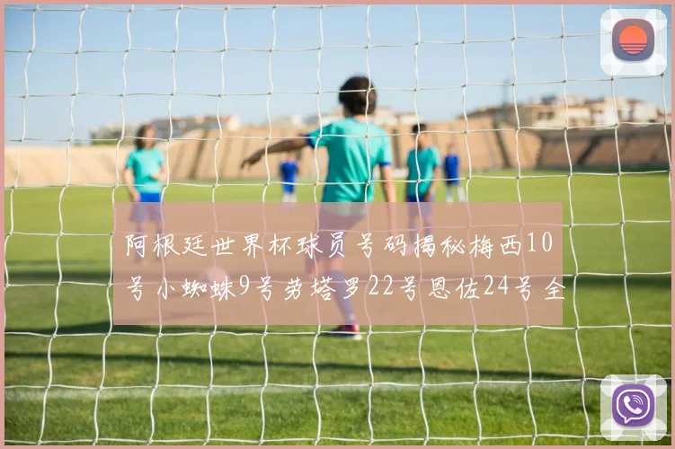 阿根廷世界杯球员号码揭秘梅西10号小蜘蛛9号劳塔罗22号恩佐24号全解析
